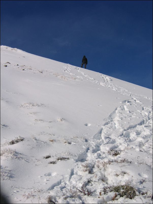 2005-12-09 RedLake (15) Henrich up on ridge